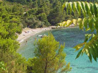 Peljesac - Private Accommodation - Croatia